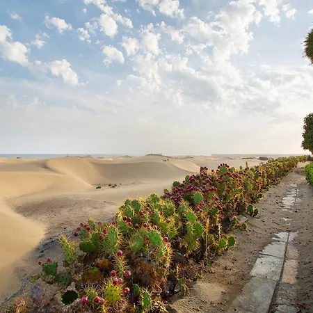 Dunas * 마스팔로마스